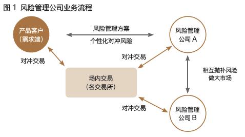 風(fēng)險(xiǎn)管理公司 企業(yè)穩(wěn)健前行的戰(zhàn)略伙伴與風(fēng)險(xiǎn)管理咨詢(xún)服務(wù)解析